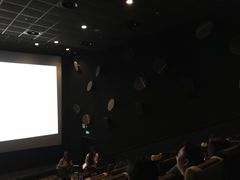 -百美汇影城(LUXE嘉里中心店)