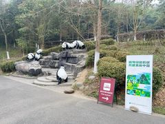 -都江堰中华大熊猫苑