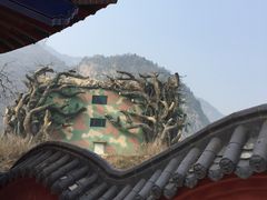 -太平万花山景区