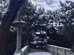 -叶家花园