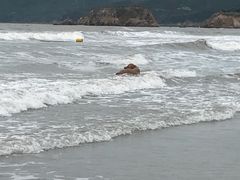 -嵊泗基湖沙滩