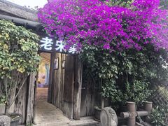 -老宋家鱼馆(北滨路店)