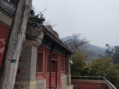-潭柘寺景区