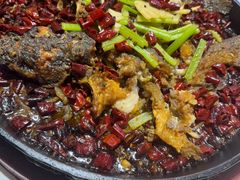 -老板恋上鱼(高新万达店)
