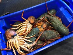 -Sun World Chinese Restaurant 新世界海鲜酒家