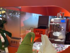 -野人先生现做冰淇淋(北京王府井东方新天地店)