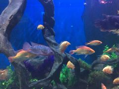 -石林冰雪海洋世界