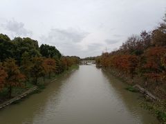 -上海海湾国家森林公园