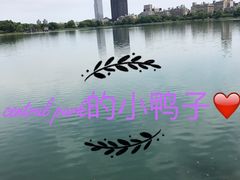 -Lady M Cake Boutique(麦迪逊大道店)