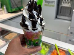 -Salud撒露欧洲冻酸奶(蓝色港湾店)