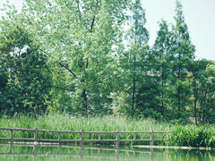 -成都市活水公园