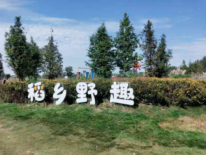 稻乡渔歌-"特色体验:整个住宿的地方基本都是简约日."-大众点评移动版