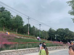 -牛岗山公园