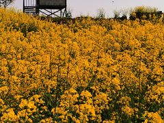 -上海海事大学(临港校区)