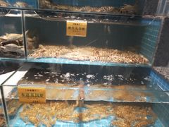 -海味世家·家常菜馆(明州里店)