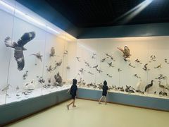 -盐城丹顶鹤湿地生态旅游区