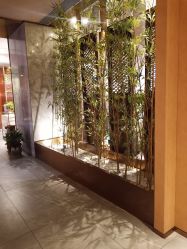 点击看大图 -盘子女人坊古装写真摄影(南京总店)