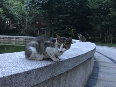 -上海科学技术职业学院