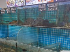 -兆辉木炭海鲜烧烤·海鲜小炒