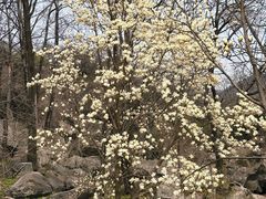 -秦岭终南山世界地质公园翠华山景区