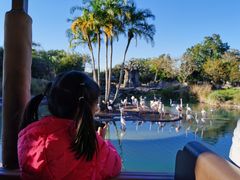 -奥兰多迪士尼动物王国乐园