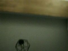 -台场海滨公园船码头