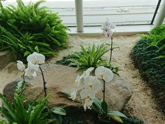 -厦门五通客运码头