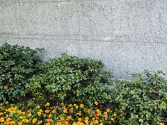 -棕榈岛海鲜自助餐厅(虹桥迎宾馆店)