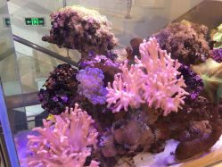 -医美信医疗整形美容