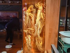 -长寿参鸡汤(朝韩风情街店)