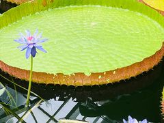 -国家植物园南园