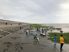 -南汇新城海滩