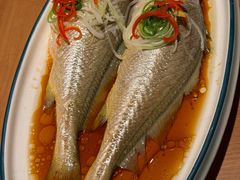 -波螺油子·海肠捞饭·青岛菜(银座店)