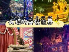 -广州长隆国际大马戏