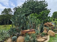 -东莞植物园