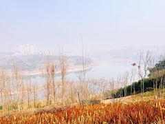 -金海湾滨江公园