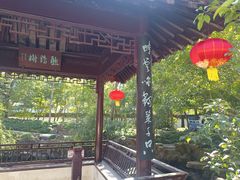 -上海醉白池公园