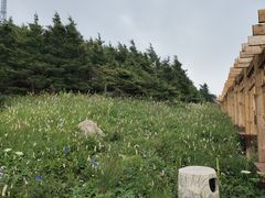 -白草畔自然风景区