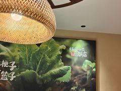 -杨厨的田园饭店(长城路店)