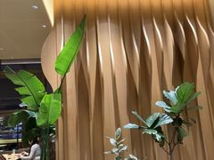 -Bco豆库(星耀天地店)