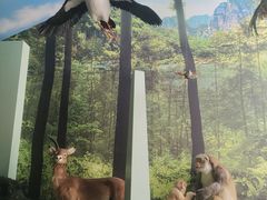 -房山世界地质公园博物馆