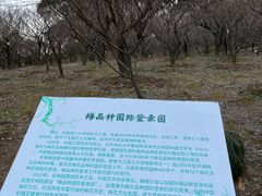 -无锡梅园公园