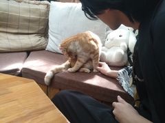 -久馆NineHouse