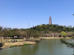 -顺峰山公园