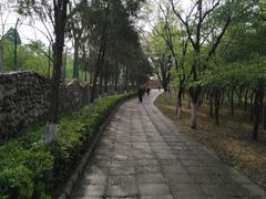 -云岗森林公园