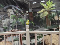 -南宫五洲植物乐园