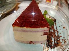 -飞行喵MR PILOT|猫舍·猫咖(静安大融城店)