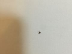 -大卫传奇爱情度假酒店
