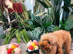 -哈根达斯(南京德基广场店)