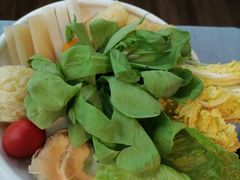 -诺莱仕游艇会
